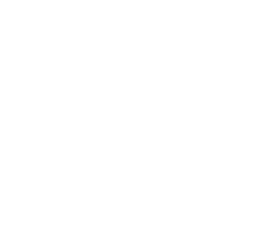 The Magic Foundation